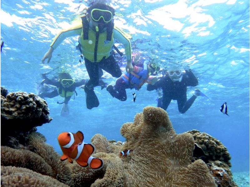 销售！ 【宫古岛/半天】宫古岛热带浮潜★天然水族馆体验★照片资料/设备租赁免费！交通咨询OK！の紹介画像