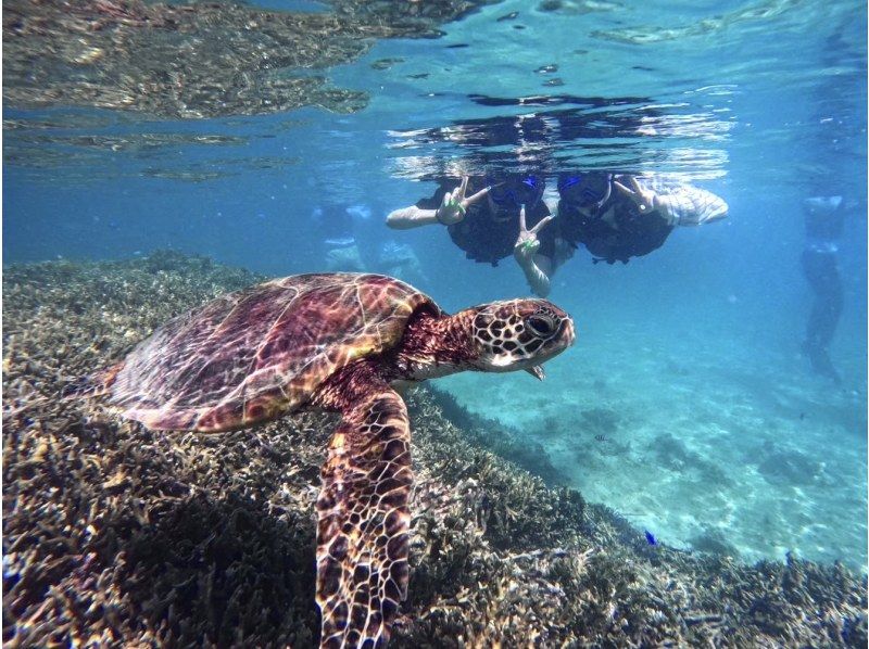 [Miyakojima/Half-day] Miyakojima Tropical Snorkeling ★ Natural Aquarium Experience ★ Free photo data/equipment rental! Pick-up and drop-off consultation OK!の紹介画像