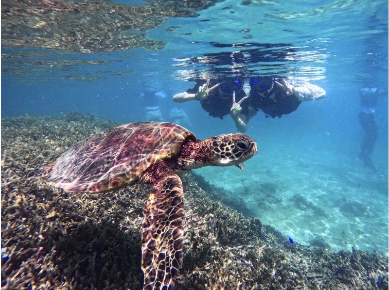 【宮古島/半天】宮古島熱帶浮潛★天然水族館體驗★照片資料/設備租借免費！交通諮詢OK！の紹介画像