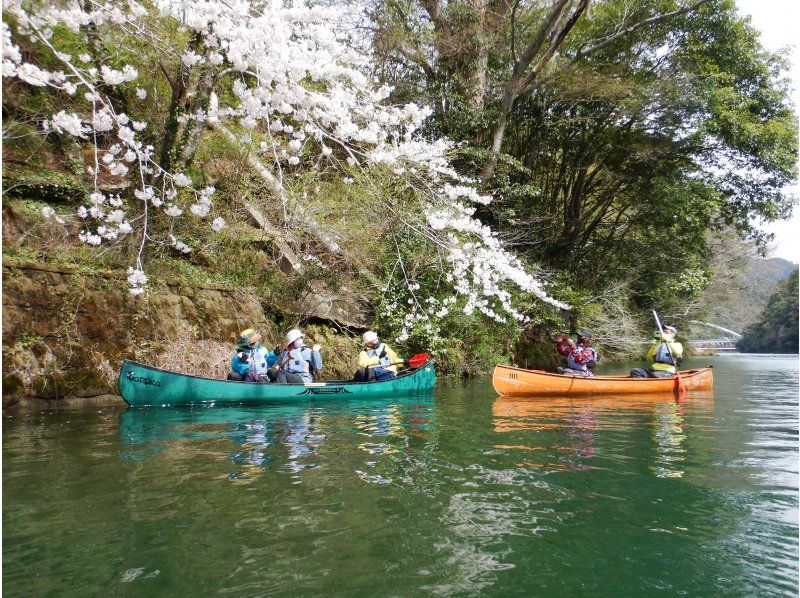 【徳島・那賀町】お花見カヌーの紹介画像