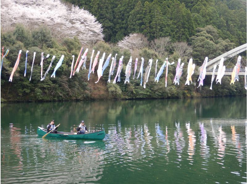 【徳島・那賀町】お花見カヌーの紹介画像