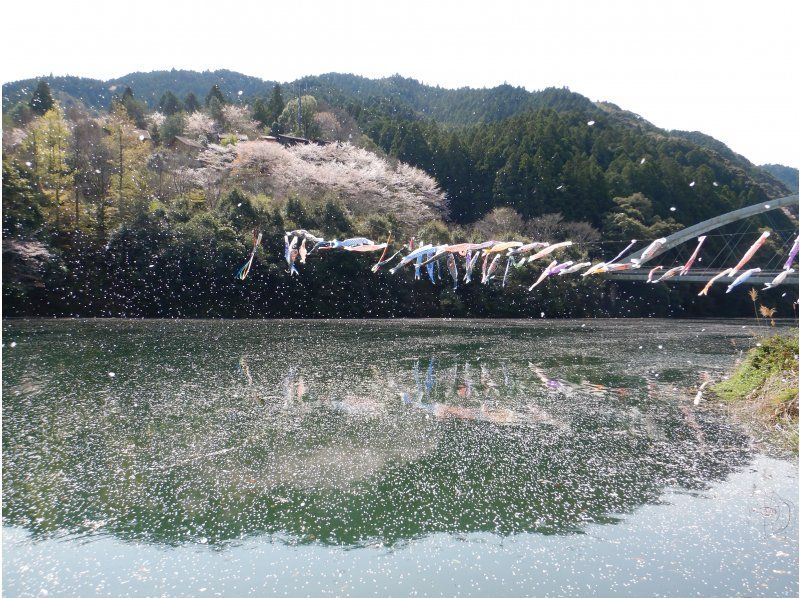 【徳島・那賀町】お花見カヌーの紹介画像