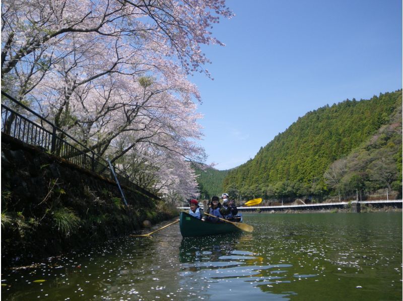 【徳島・那賀町】お花見カヌーの紹介画像