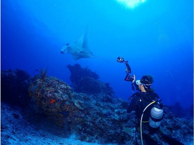 AJ 한정 플랜 【오키나와 &middot; 게라마】 게라마 제도 ★ 1 일 3 다이브 ★ 저렴한 유익한 팬 다이빙 플랜 ★の紹介画像