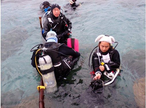 『ドライスーツ無料!渋谷から木、金、土曜日/送迎無料』海を楽もう!セットプラン/スノーケル&体験ダイビング 『ドライスーツ無料!渋谷から木、金、土曜日/送迎無料』海を楽もう!セットプラン/スノーケル&体験ダイビング