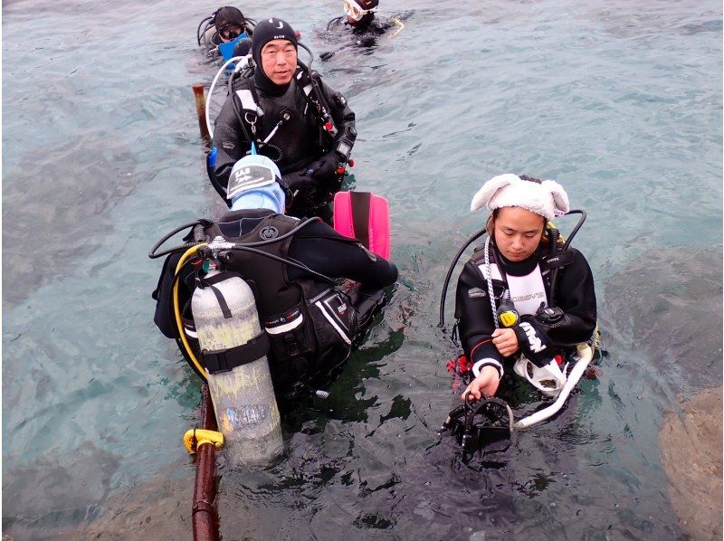 『ドライスーツ無料！渋谷から木、金、土曜日/送迎無料』海を楽もう！セットプラン／スノーケル＆体験ダイビングの紹介画像