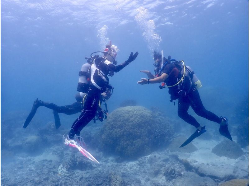 『渋谷駅/新横浜駅から木、金、土、日曜日/送迎無料＋ドライスーツ無料！』海を楽もう！セットプラン／スノーケル＆体験ダイビングの紹介画像
