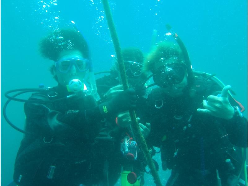 『ドライスーツ無料！渋谷から木、金、土曜日/送迎無料』海を楽もう！セットプラン／スノーケル＆体験ダイビングの紹介画像