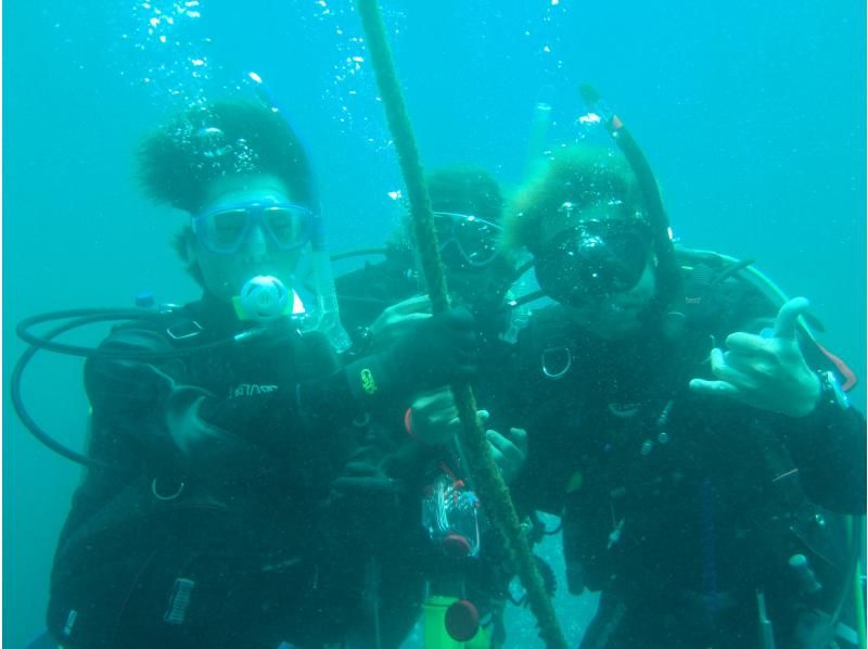 『渋谷駅/新横浜駅から木、金、土、日曜日/送迎無料＋ドライスーツ無料！』海を楽もう！セットプラン／スノーケル＆体験ダイビングの紹介画像