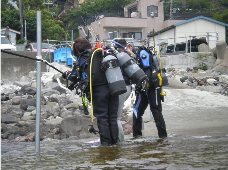 『渋谷駅/新横浜駅から木、金、土、日曜日/送迎無料＋ドライスーツ無料！』海を楽もう！セットプラン／スノーケル＆体験ダイビングの紹介画像