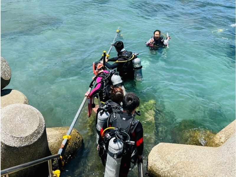 『ドライスーツ無料！渋谷から木、金、土曜日/送迎無料』海を楽もう！セットプラン／スノーケル＆体験ダイビングの紹介画像