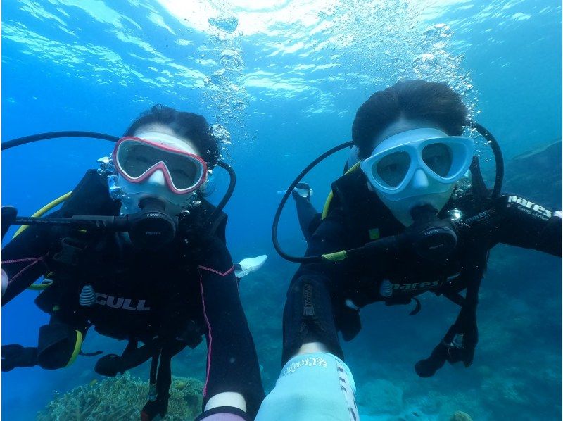 「슈퍼 서머 세일 2024」【오키나와・미즈나지마・세소지마】보트 체험 다이빙(오후 1 다이브) 사진 동영상 촬영 선물の紹介画像