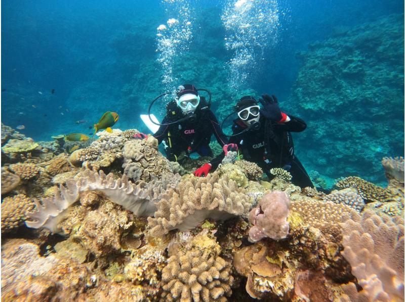 [Okinawa, Minna Island, Sesoko Island] Boat experience diving (1 dive in the afternoon) Photo video shooting giftの紹介画像