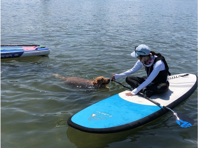 滋賀・琵琶湖】琵琶湖でワンコとSUP（サップ）♪♪愛犬と一緒にSUP | アクティビティジャパン