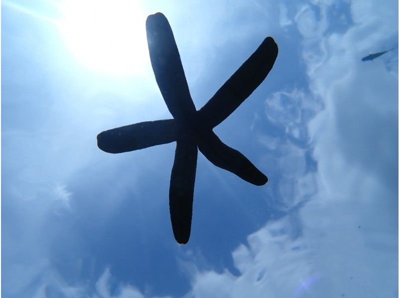 [沖縄·藍洞·浮潛]桅杆藍洞穴浮潛體驗♪攝影免費餵養♪の紹介画像