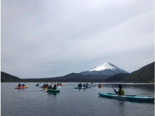 山梨 富士五湖 本栖湖 ワンちゃんok 富士山を眺めながら絶景クルージング1分プラン アクティビティジャパン