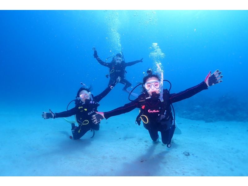 [Okinawa Ishigaki island] OW Getting licenses course 2 days ★ Friends and couples Sale ★ Diver debut here ♬の紹介画像