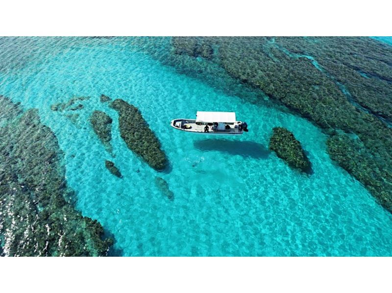【沖縄・慶良間諸島】無人島でウミガメシュノーケリング&スキンダイビング★小さなお子様連れでも安心♪の紹介画像