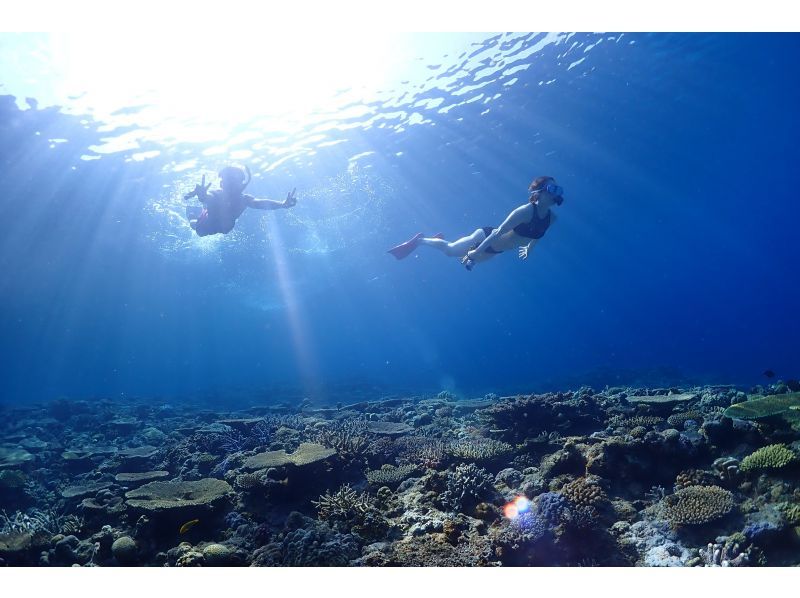 【沖縄・慶良間諸島】無人島でウミガメシュノーケリング&スキンダイビング★小さなお子様連れでも安心♪の紹介画像