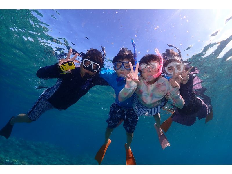 【沖縄・慶良間諸島】無人島でウミガメシュノーケリング&スキンダイビング★小さなお子様連れでも安心♪の紹介画像