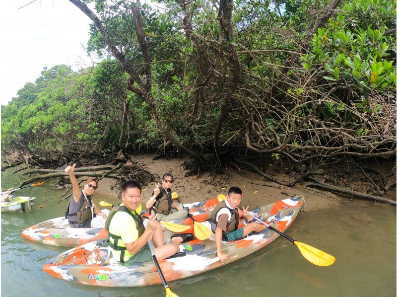 [中央鹿岛/卡地纳]东川红树林皮艇！团体折扣/特惠！ &ldquo;三密&rdquo;措施是完美的！ ★女孩旅行大人护理★4人聚集如果交易！旅游形象礼物！の紹介画像