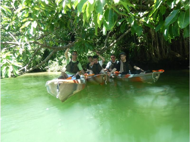 [中央鹿岛/卡地纳]东川红树林皮艇！团体折扣/特惠！ &ldquo;三密&rdquo;措施是完美的！ ★女孩旅行大人护理★4人聚集如果交易！旅游形象礼物！の紹介画像