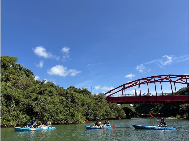 マングローブカヤックツアー【グループ割引】★女子旅・家族に大人気★4名様以上でお得に！アクセス便利な本島中部の紹介画像