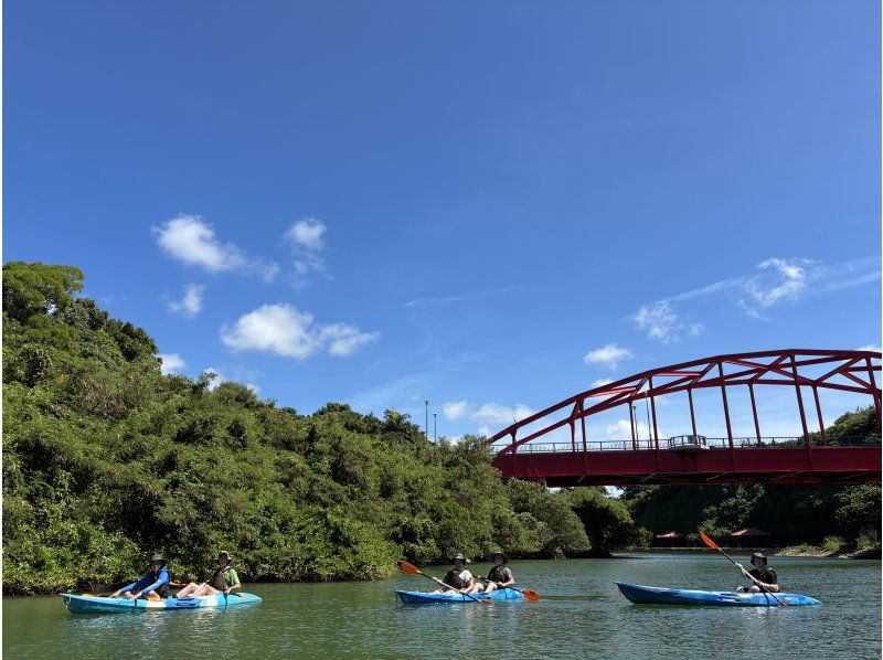[中央鹿岛/卡地纳]东川红树林皮艇！团体折扣/特惠！ &ldquo;三密&rdquo;措施是完美的！ ★女孩旅行大人护理★4人聚集如果交易！旅游形象礼物！の紹介画像