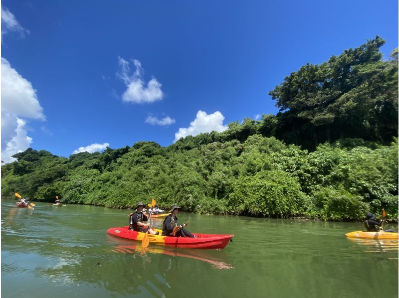 [中央鹿岛/卡地纳]东川红树林皮艇！团体折扣/特惠！ &ldquo;三密&rdquo;措施是完美的！ ★女孩旅行大人护理★4人聚集如果交易！旅游形象礼物！の紹介画像