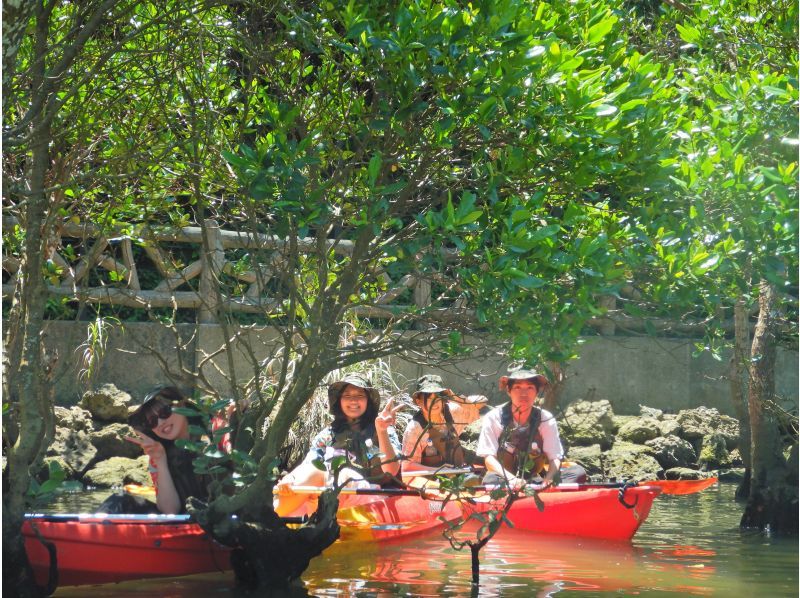 본섬 중부 액세스 편리! 선셋카약+ 맹그로브 탐험 ★ 4 명이상의 유익 플랜 ★の紹介画像
