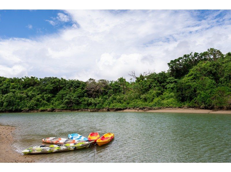 Central Main Island [Group Discount] Spring Sale in progress! Mysterious Night Mangrove Kayak Tour★Great deals for 4 or more people! Tour image present!の紹介画像