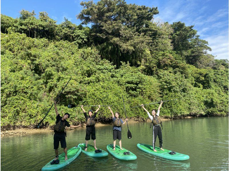 Main Island Central Group Discount ★ Mangrove River Sap Tour Get a great deal if you gather 4 people! Tour image gift!の紹介画像