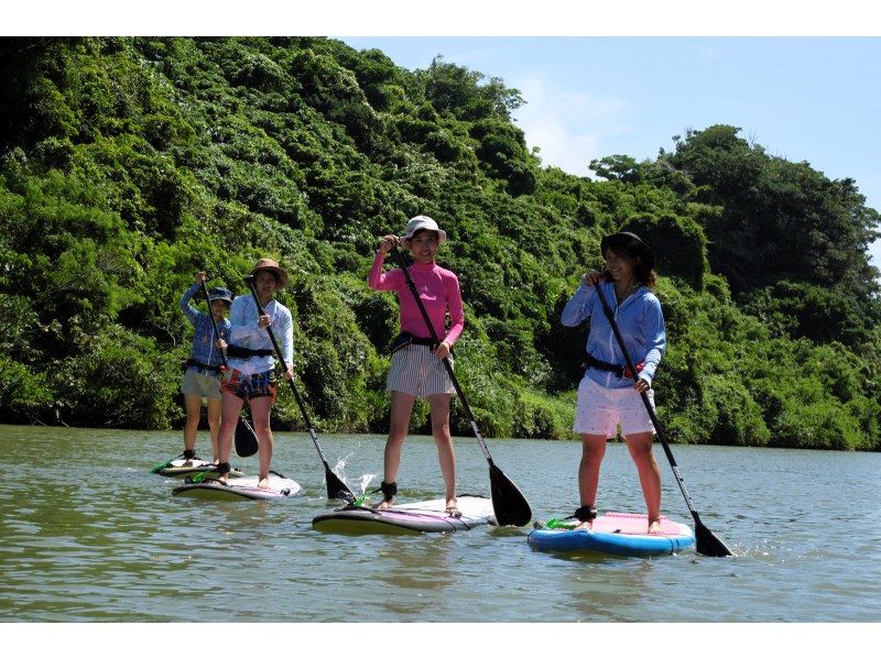 SALE! Group discount for central main island ★ Mangrove River SUP tour. Great value for 4 people! Tour photos as a gift!の紹介画像