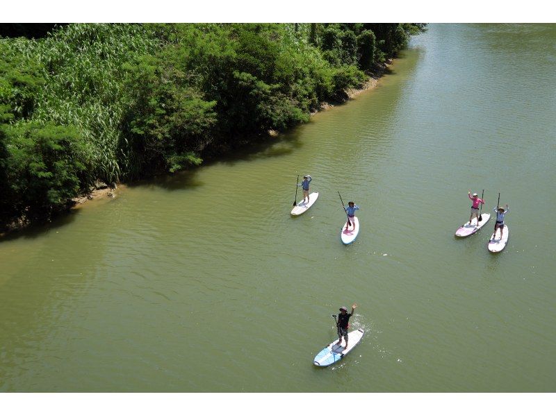 SALE! Group discount for central main island ★ Mangrove River SUP tour. Great value for 4 people! Tour photos as a gift!の紹介画像