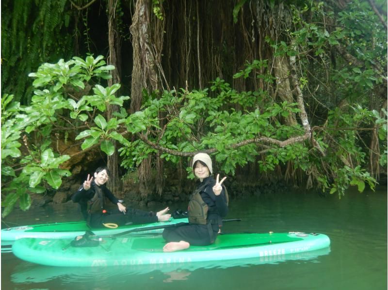 Main Island Central Group Discount ★ Mangrove River Sap Tour Get a great deal if you gather 4 people! Tour image gift!の紹介画像