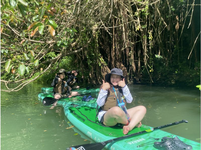 Main Island Central Group Discount ★ Mangrove River Sap Tour Get a great deal if you gather 4 people! Tour image gift!の紹介画像