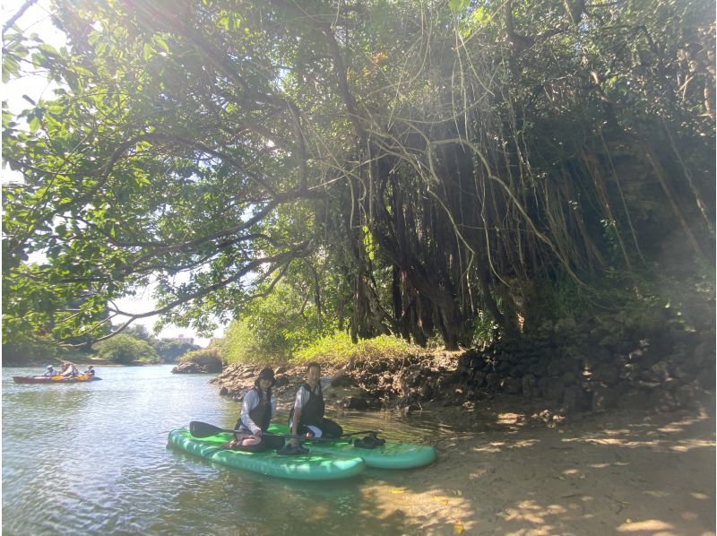 Main Island Central Group Discount ★ Mangrove River Sap Tour Get a great deal if you gather 4 people! Tour image gift!の紹介画像