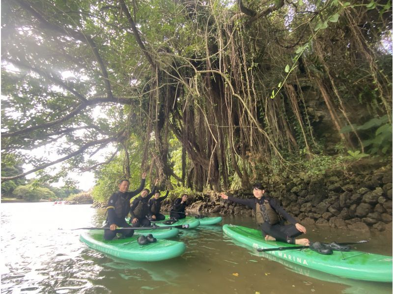 Main Island Central Group Discount ★ Mangrove River Sap Tour Get a great deal if you gather 4 people! Tour image gift!の紹介画像