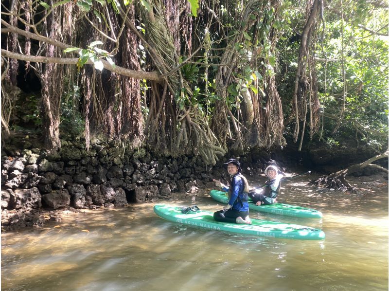 Main Island Central Group Discount ★ Mangrove River Sap Tour Get a great deal if you gather 4 people! Tour image gift!の紹介画像