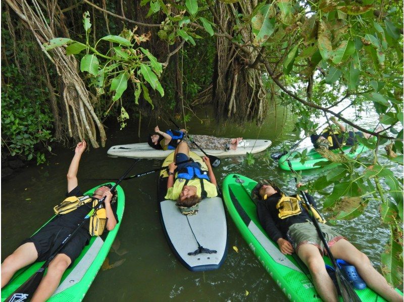 Main Island Central Group Discount ★ Mangrove River Sap Tour Get a great deal if you gather 4 people! Tour image gift!の紹介画像