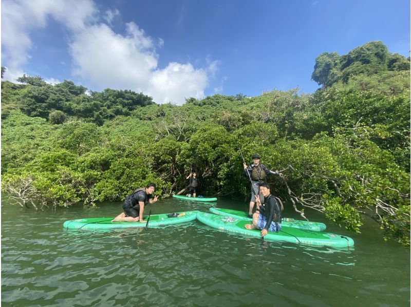 Main Island Central Group Discount ★ Mangrove River Sap Tour Get a great deal if you gather 4 people! Tour image gift!の紹介画像