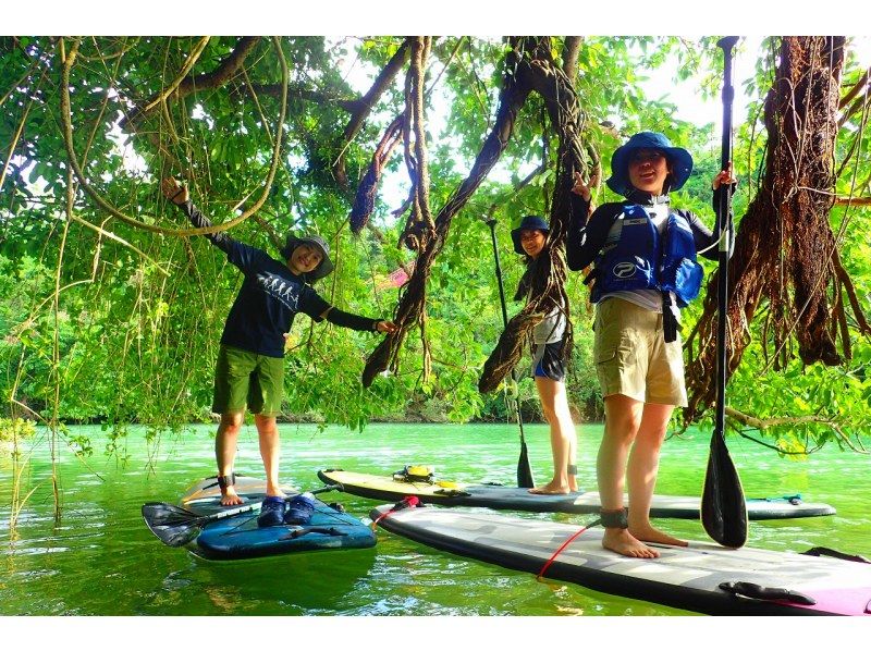 "Super Summer Sale 2024" Central Main Island Group Discount ★ Mangrove River SUP Tour Get a great deal if you gather 4 people! Tour photos as a gift!の紹介画像