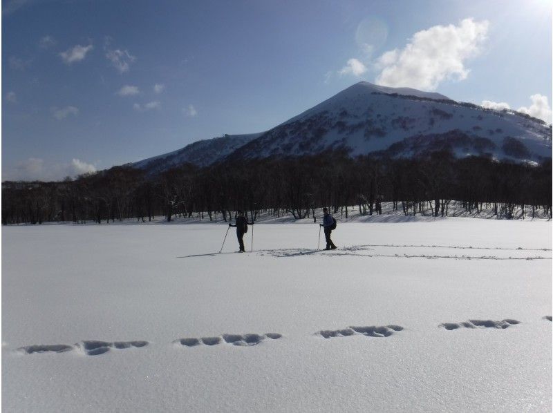 【北海道ニセコ】スノーシューで歩こう！【半日プライベートツアー】の紹介画像