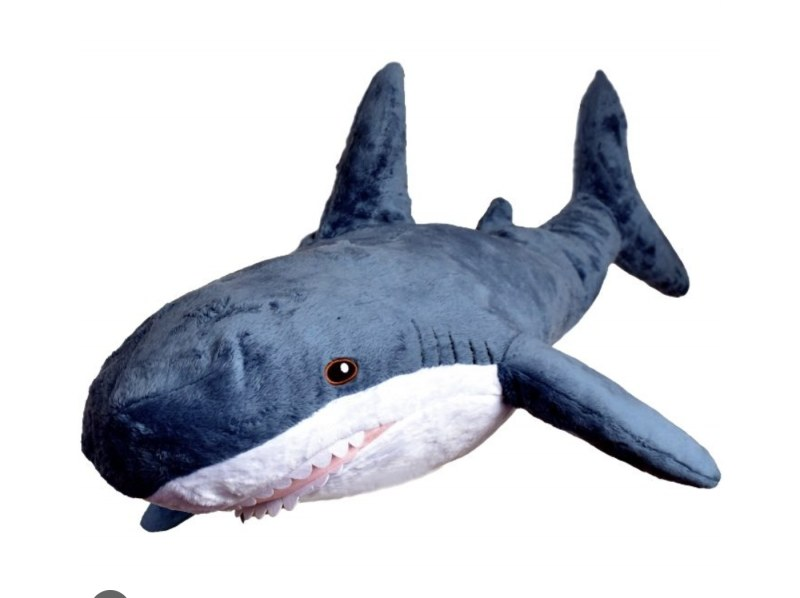 さめプランの紹介画像