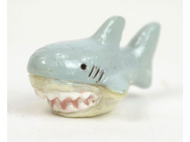 さめプランの紹介画像