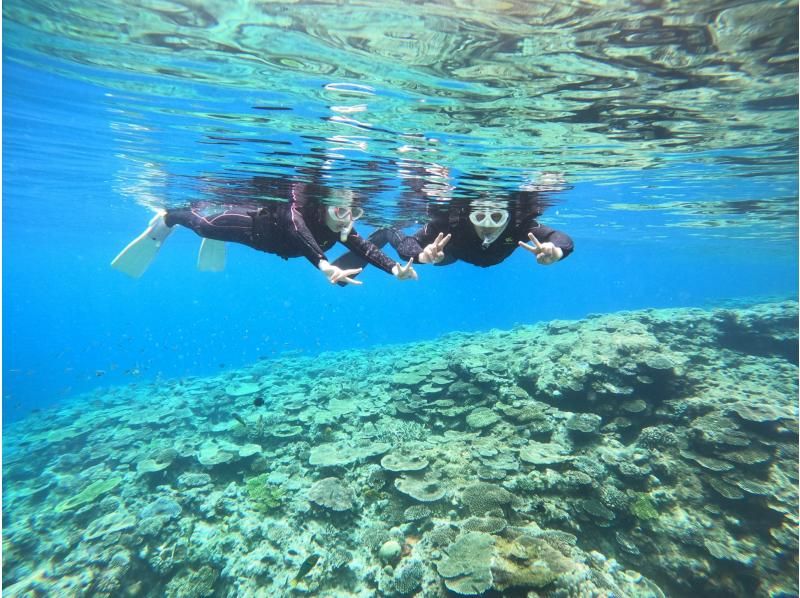 【沖縄・水納島・瀬底島】ボート体験ダイビング＋スノーケリング  写真動画撮影プレゼントの紹介画像