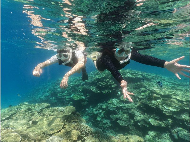 【沖縄・水納島・瀬底島】ボート体験ダイビング＋スノーケリング  写真動画撮影プレゼントの紹介画像