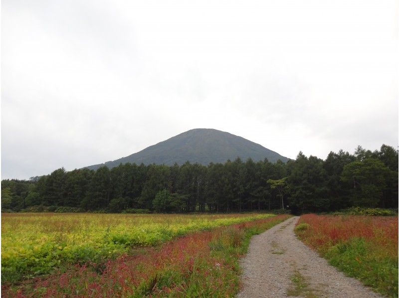 【北海道ニセコ】蝦夷富士★羊蹄山へチャレンジ！！プライベートツアーの紹介画像