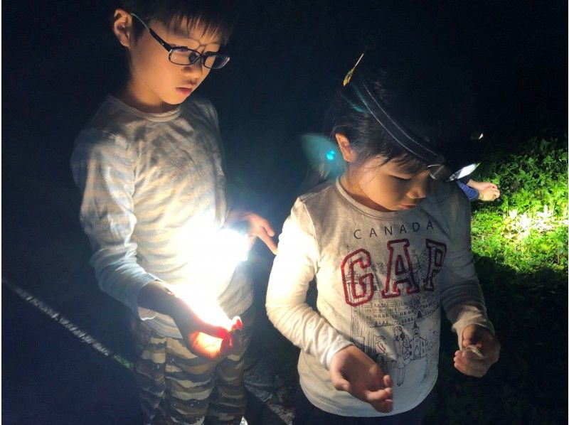 [沖縄/宮古島] [夜]參加從2歲開始就可以了！椰子蟹和星空之旅の紹介画像