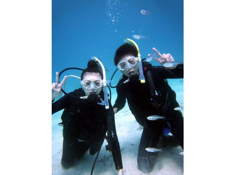 [Okinawa ・ Iriomote Island] Experience Diving(One day course)の紹介画像